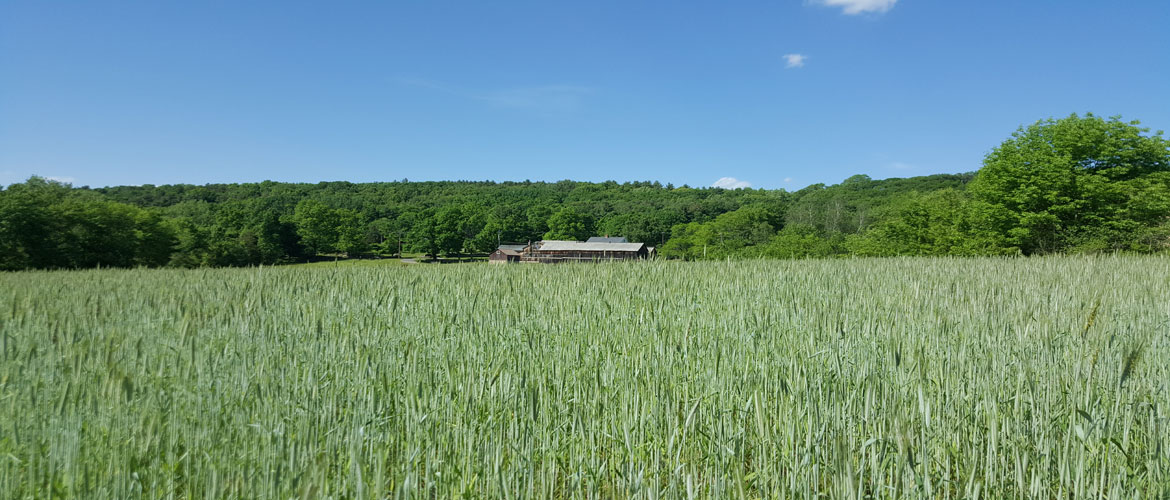 field barn